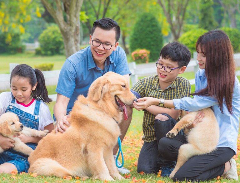 Celesta Rise 28 celesta rise green space